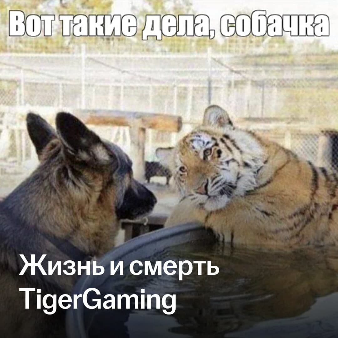 Vida y muerte de TigerGaming